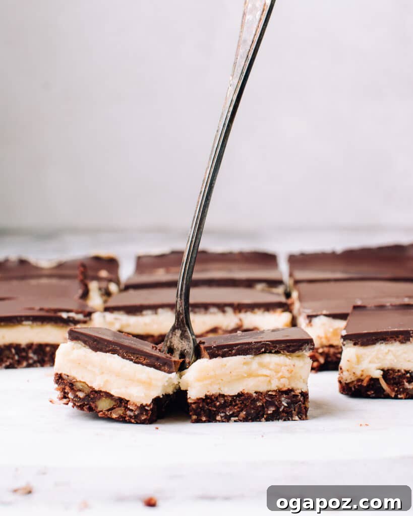 Effortless Chocolate Christmas Delights 23 Perfectly layered pieces of Classic Canadian Nanaimo Bars, showcasing their unique structure.