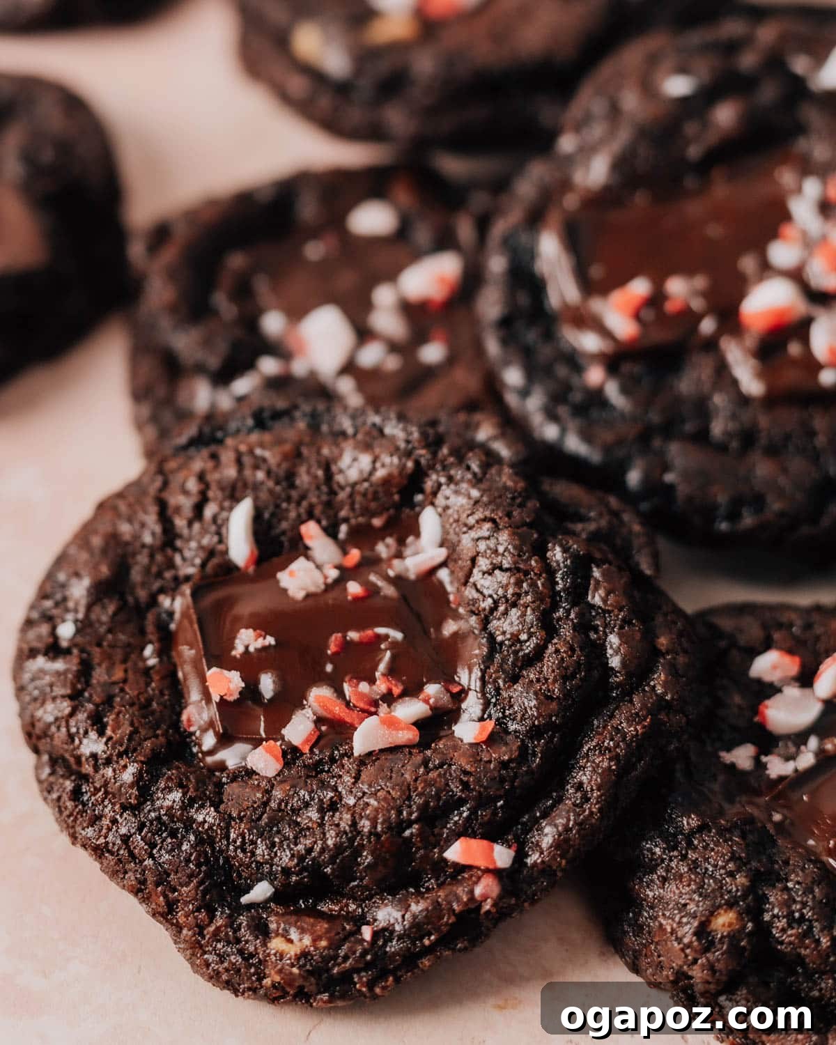 Effortless Chocolate Christmas Delights 5 Close-up of fudgy Chocolate Candy Cane Cookies adorned with crushed candy canes and white chocolate.