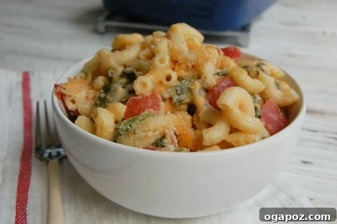 Italian Macaroni Gratin 3 Close-up of creamy Italian Style Macaroni and Cheese with visible pieces of spinach and diced tomatoes, ready to be served
