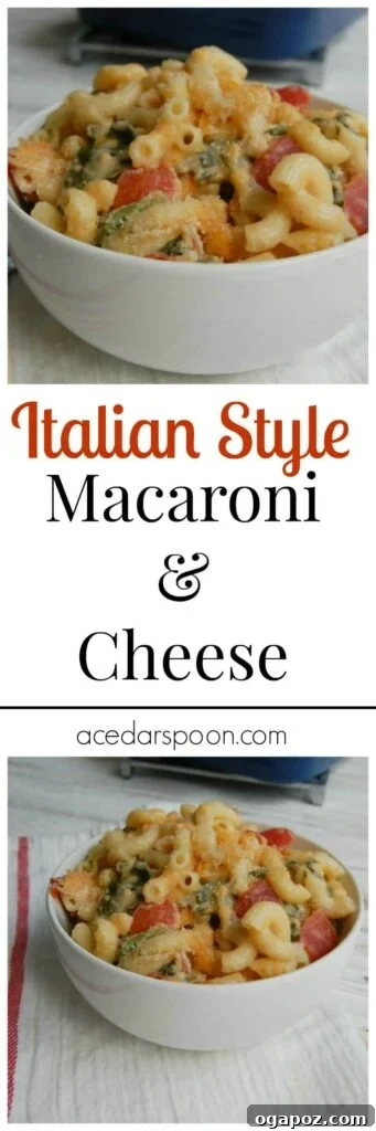 Italian Macaroni Gratin 4 Delicious Italian Style Macaroni and Cheese garnished with fresh herbs, presented in a large serving dish