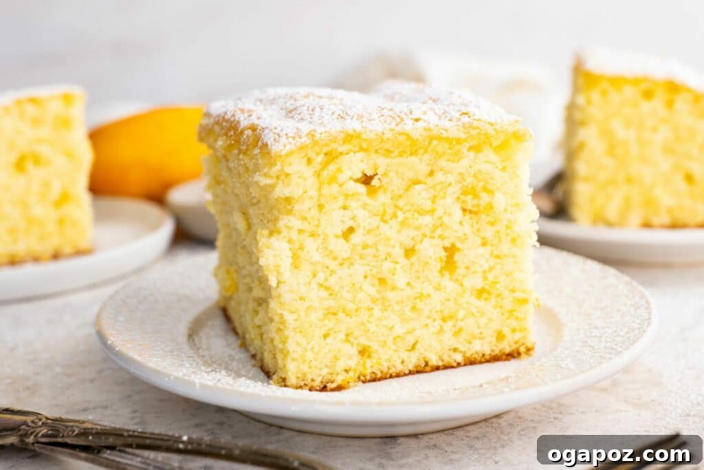 15 Italian Christmas Dessert Delights 3 A perfectly baked slice of moist orange cake, beautifully presented on a pristine white plate, showcasing its delicate texture.