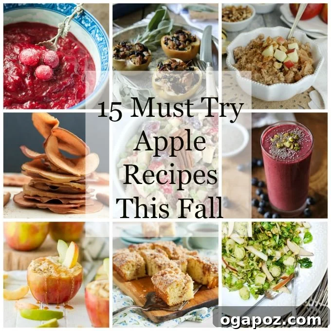 Cozy Fall: 15 Irresistible Apple Recipes 2 15 Must Try Apple Recipes This Fall - A delicious guide to autumnal apple dishes