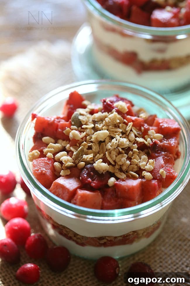 Cozy Fall: 15 Irresistible Apple Recipes 6 Cranberry Apple Yogurt Parfait - Fresh and layered dessert or breakfast