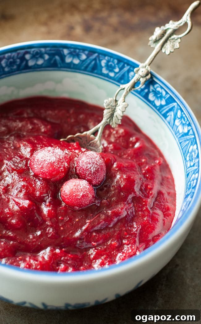 Cozy Fall: 15 Irresistible Apple Recipes 15 Slow Cooker Apple Cranberry Sauce - Homemade festive condiment