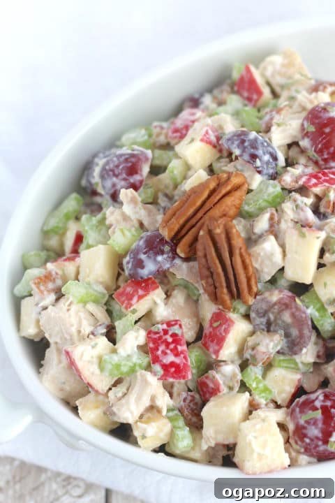 Cozy Fall: 15 Irresistible Apple Recipes 11 Healthy Chicken Salad with Grapes, Apples and Tarragon-Yogurt Dressing - A light and flavorful lunch
