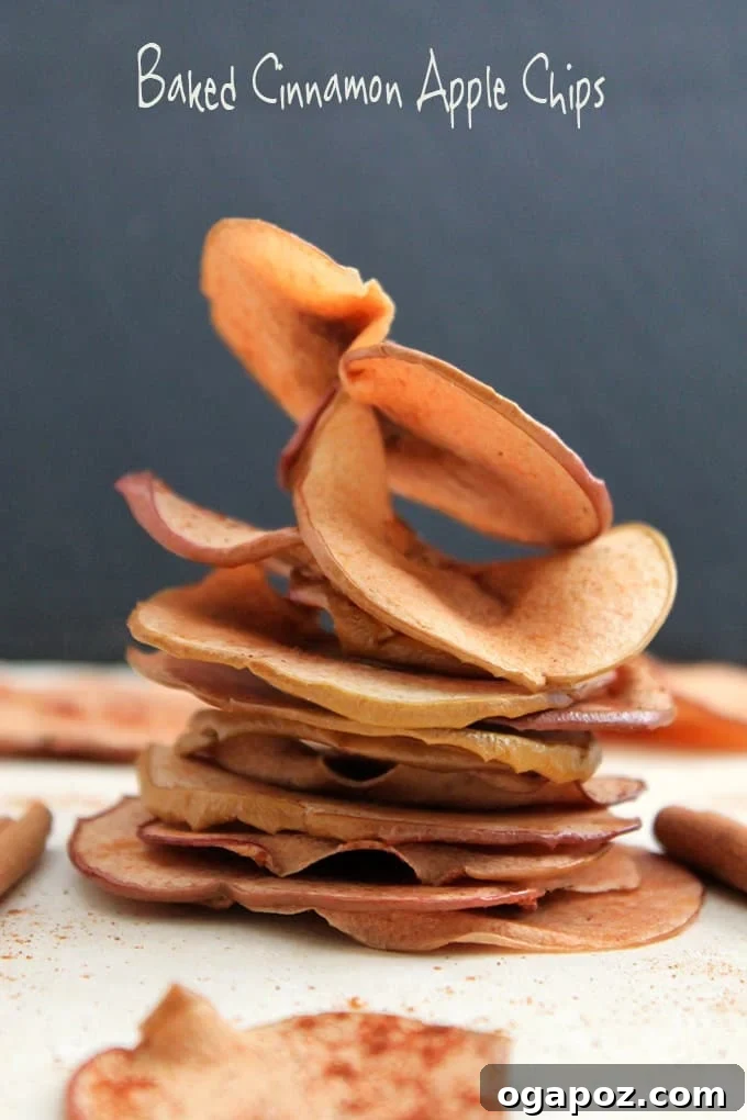 Cozy Fall: 15 Irresistible Apple Recipes 4 Baked Cinnamon Apple Chips - A healthy, crispy snack alternative