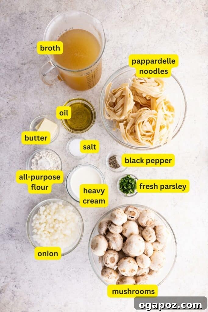 Wild Mushroom Pappardelle 3 Ingredients for Mushroom Pappardelle Pasta laid out on a kitchen countertop, including Pappardelle noodles, oil, onion, coarse salt, brown mushrooms, butter, all-purpose flour, broth, heavy cream, black pepper, fresh parsley.