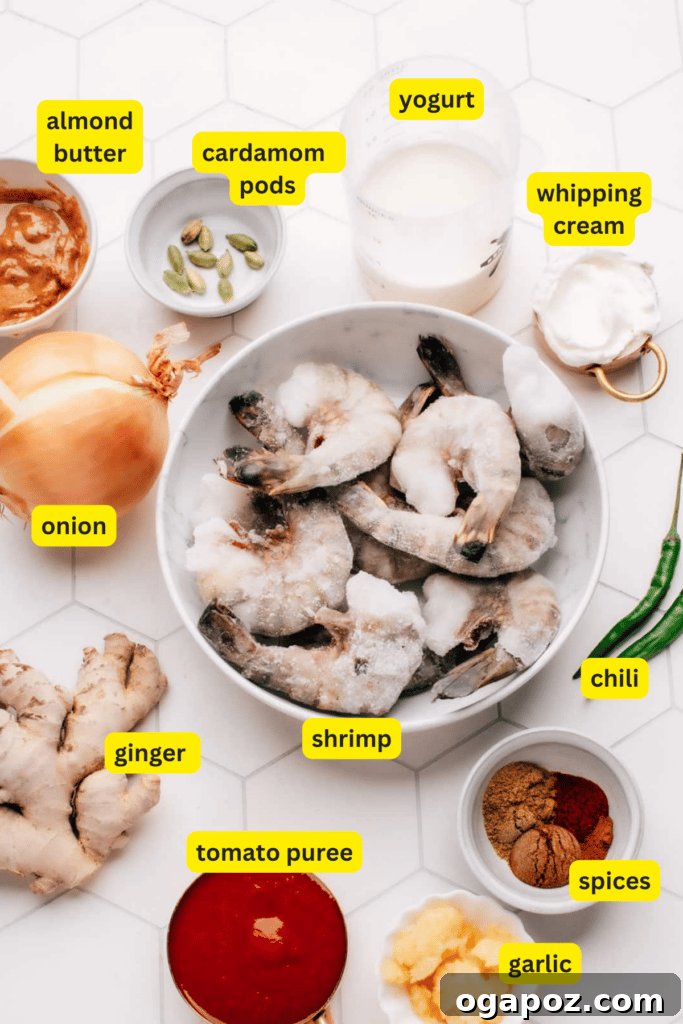 Ingredients for shrimp korma laid out on a countertop
