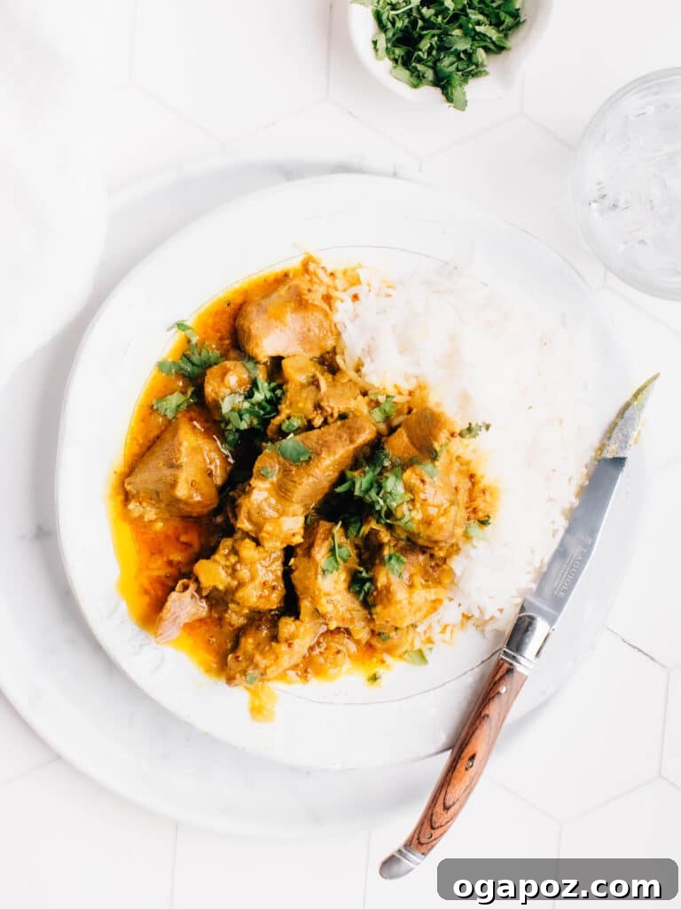 Fiery Goan Lamb 2 A vibrant bowl of Lamb Vindaloo curry, garnished with fresh cilantro, served alongside fluffy white rice.