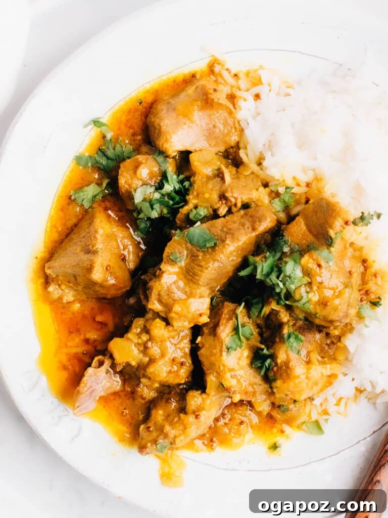 Fiery Goan Lamb 5 Close-up of a richly colored lamb vindaloo curry in a bowl, with white rice and fresh green cilantro scattered on top, ready to be served.
