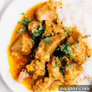 Close-up shot of lamb vindaloo on a plate with rice and some fresh cilantro.