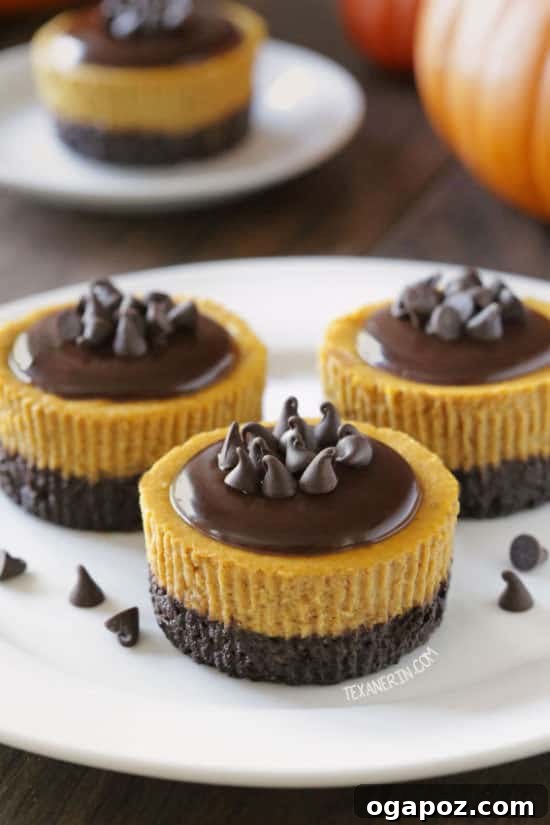 Thanksgiving's Sweetest Sixteen: Irresistible Dessert Ideas 18 Mini Pumpkin Cheesecakes – individual servings of creamy, spiced pumpkin cheesecake, perfect for a festive dessert buffet.