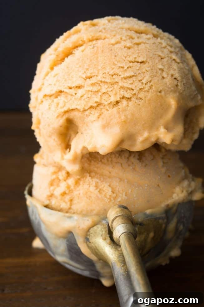 Thanksgiving's Sweetest Sixteen: Irresistible Dessert Ideas 8 Homemade Pumpkin Pie Ice Cream – a refreshing twist on a classic Thanksgiving dessert, spiced and creamy.