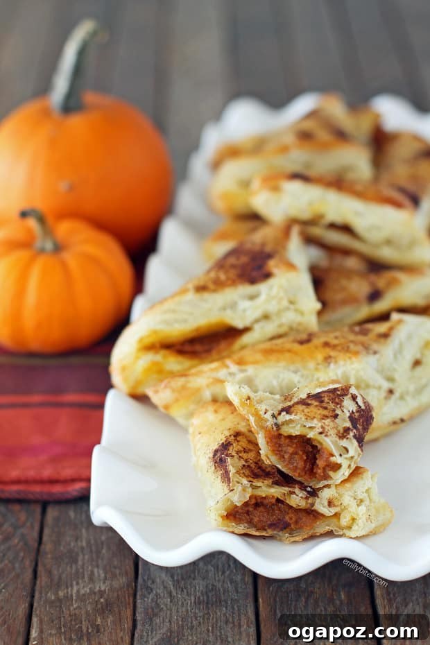 Thanksgiving's Sweetest Sixteen: Irresistible Dessert Ideas 10 Homemade Pumpkin Pie Pastry Pockets – individual servings of spiced pumpkin pie in flaky pastry.