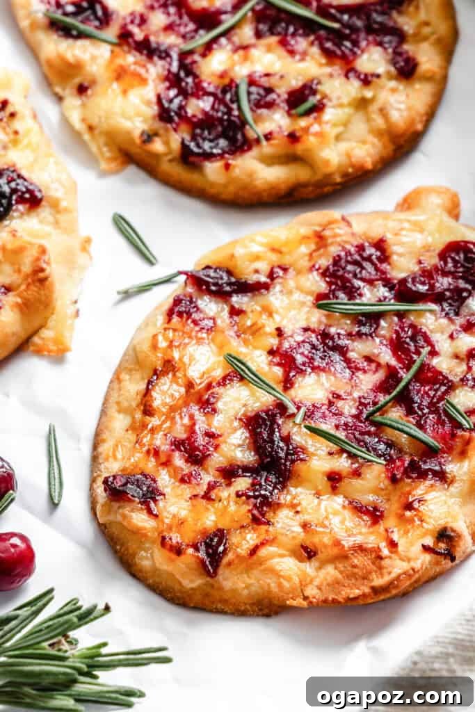 Sweet and Tart Brie Cranberry Naan 2 Warm Brie Cranberry Naan on a white paper