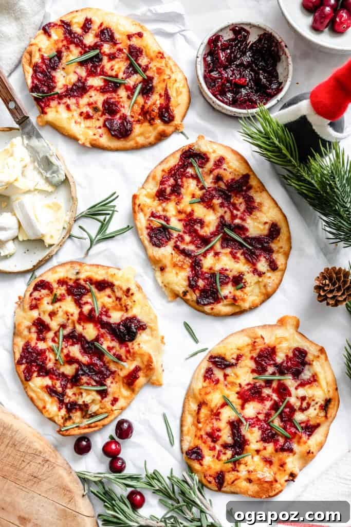 Sweet and Tart Brie Cranberry Naan 7 Warm Brie Cranberry Naan Bread on a white surface