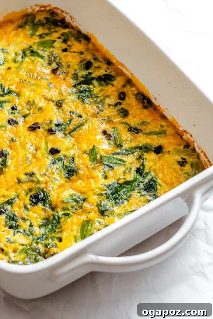Tex-Mex Black Bean Egg Casserole with Zesty Verde 12 The full Cheesy Black Bean Egg Bake in a baking dish, just out of the oven.