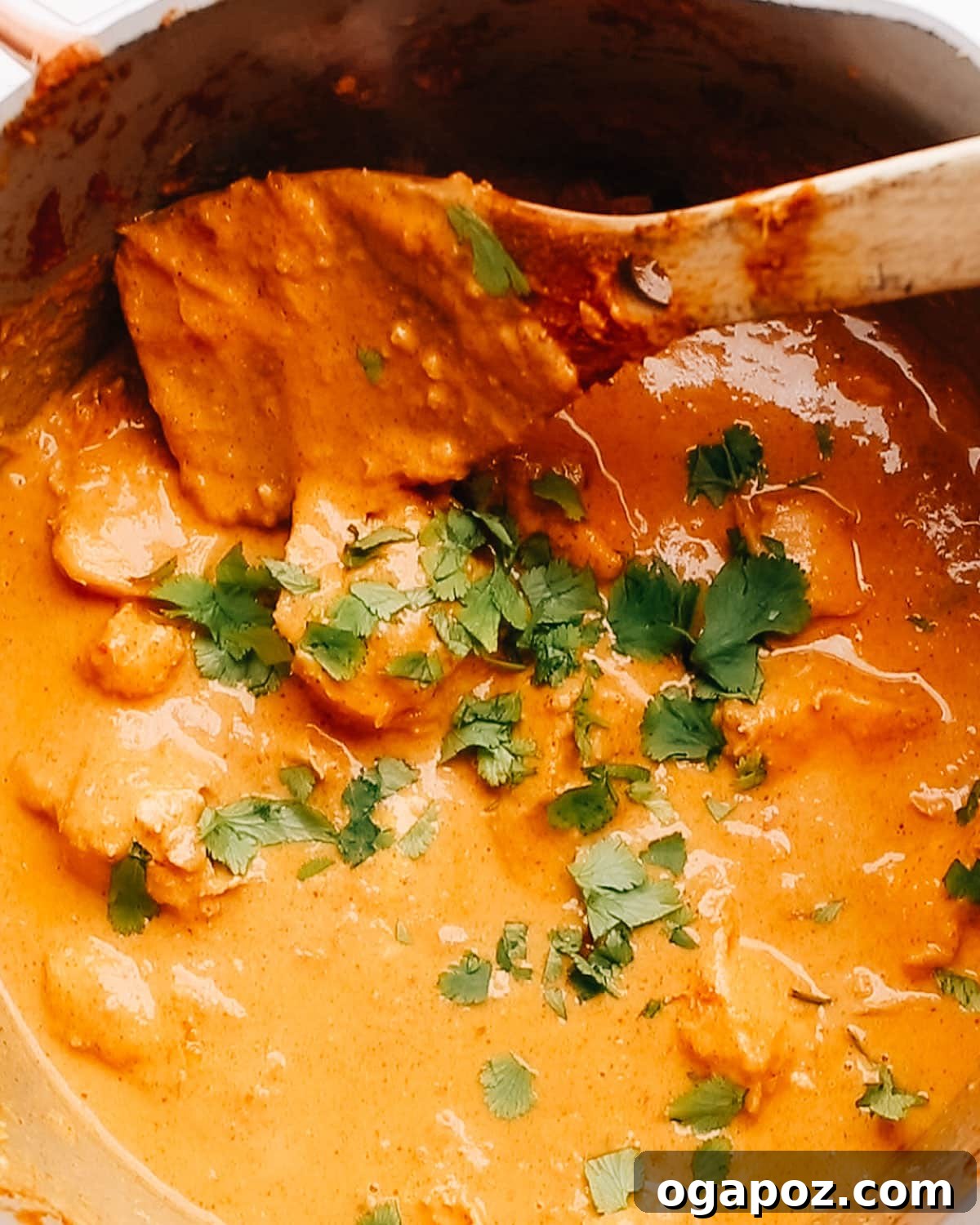 Royal Chicken Korma 8 Steaming hot chicken korma in a large saucepan, garnished with fragrant cilantro leaves, and a spatula rests on the edge of the pan.
