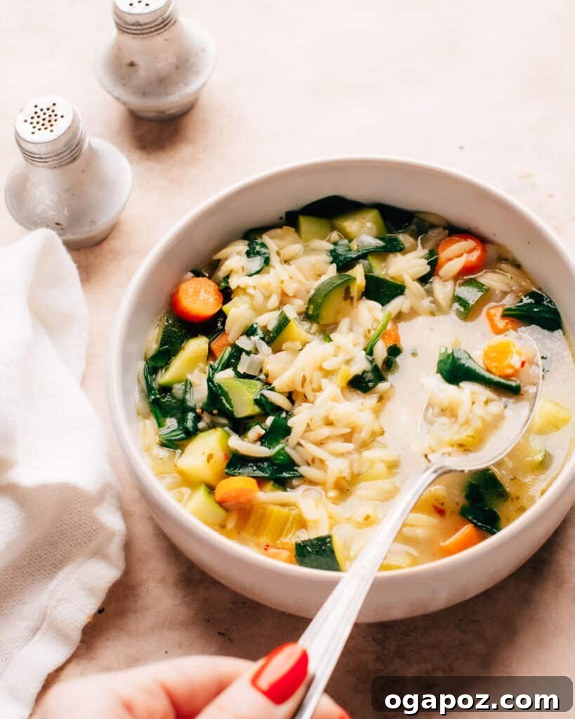 Hearty Garden Orzo Soup 2 A white bowl filled with steamy vegetable orzo soup, spoon ready and waiting to be devoured