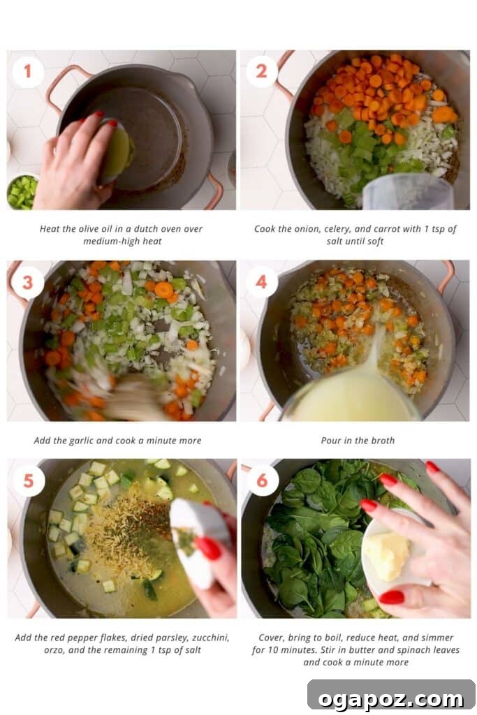 Hearty Garden Orzo Soup 4 Step-by-step instructions for a delicious vegetable orzo soup