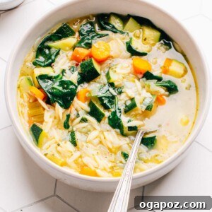 Homemade Vegetable Orzo Soup