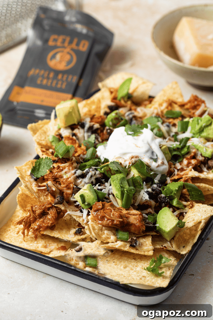 15 Easy Game Day Nachos Crowd Favorites 8 Crispy air fryer nachos in a side view, perfectly golden and ready to eat.