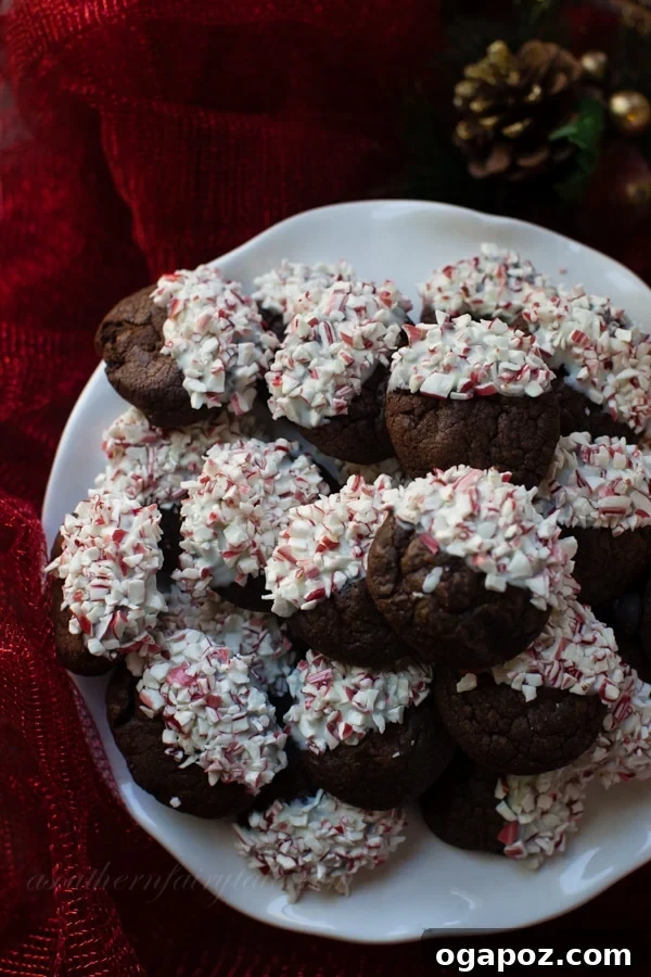 23 Essential Holiday Cookies to Bake This Season 13 Rich dark chocolate cookies beautifully half-dipped in melted chocolate and crushed candy canes.