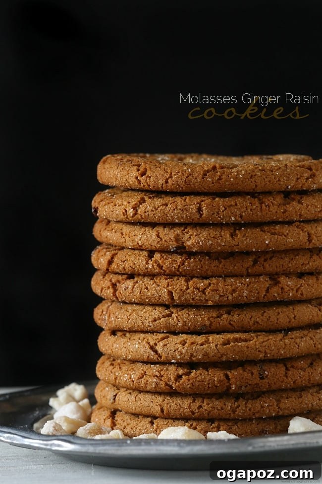 23 Essential Holiday Cookies to Bake This Season 22 Hearty molasses ginger raisin cookies, delightfully chewy and full of warm spice, perfect for winter.