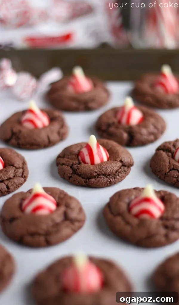 23 Essential Holiday Cookies to Bake This Season 8 Easy and quick 4 ingredient Christmas cookies, simple to make yet delightfully festive and delicious.