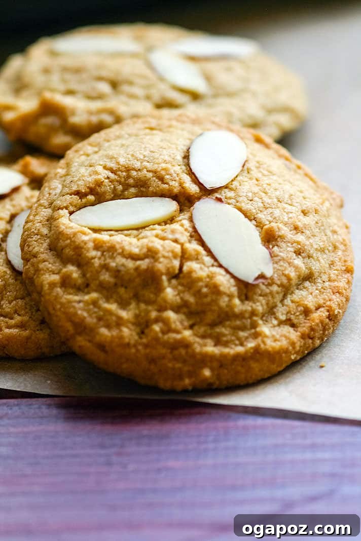 23 Essential Holiday Cookies to Bake This Season 9 Healthy cinnamon spiced almond paleo sugar cookies, gluten-free and delicious, with a hint of warm spice.
