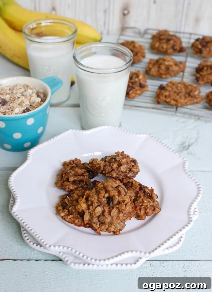 Wholesome Morning Treat A plate of freshly baked Banana Muesli Breakfast Cookies