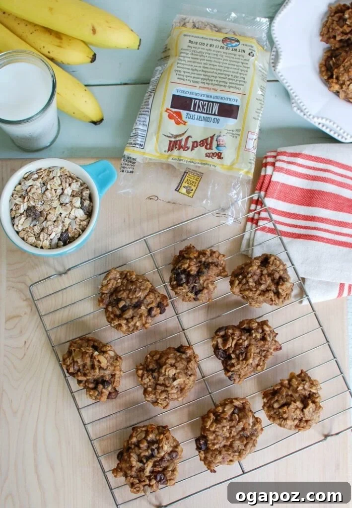 Perfectly Baked Muesli Cookies Stacked Banana Muesli Breakfast Cookies on a wooden board with muesli in the background