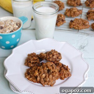 Banana Muesli Breakfast Cookies - a healthy treat