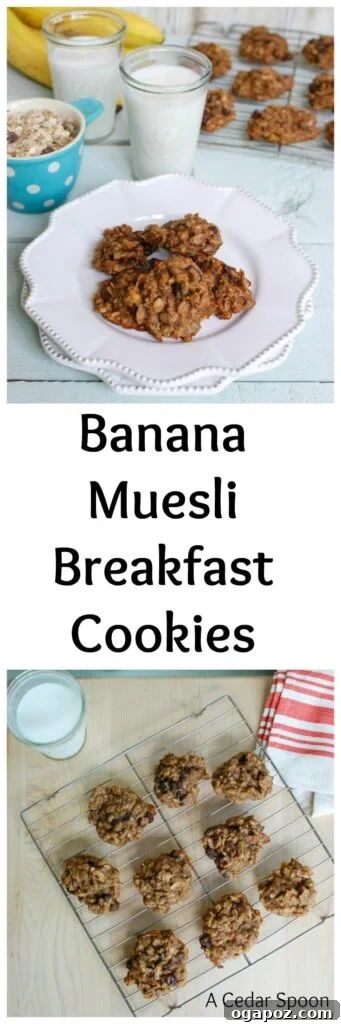 Single Banana Muesli Breakfast Cookie bitten into, showing soft interior