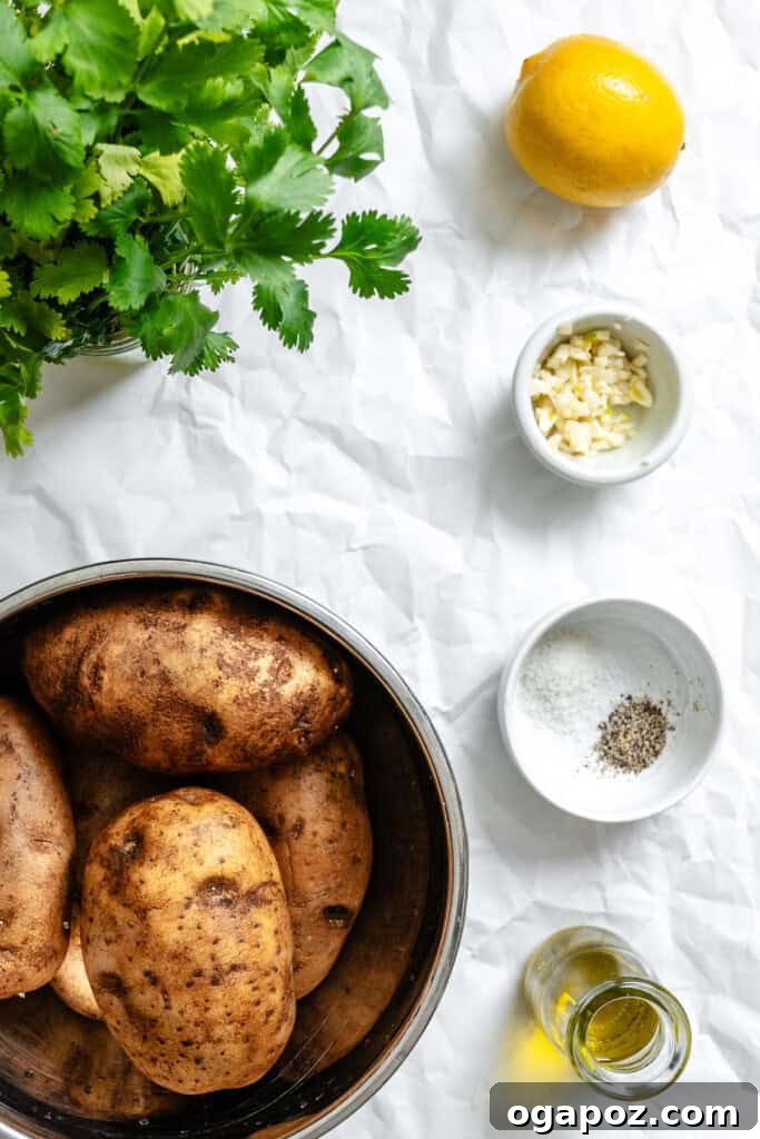 Bright Lemon & Cilantro Roasted Potatoes 3 Assortment of fresh ingredients for Lemon Cilantro Roasted Potatoes recipe