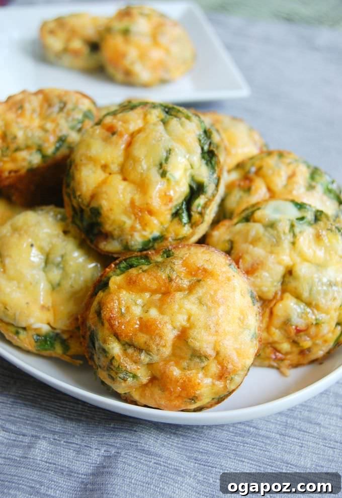 Our Readers Top Picks of 2015 4 Vegetarian Breakfast Egg Muffins - Quick and Healthy Make-Ahead Meal