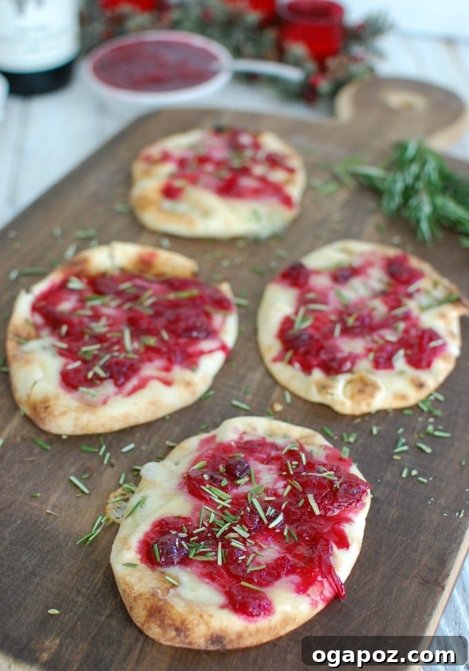 Our Readers Top Picks of 2015 5 Warm Brie Cranberry Naan - Easy Holiday Appetizer Recipe