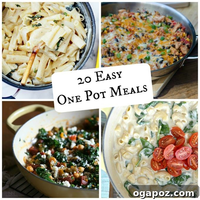 Our Readers Top Picks of 2015 8 20 Easy One-Pot Meals - Simple Dinner Ideas for Busy Weeknights