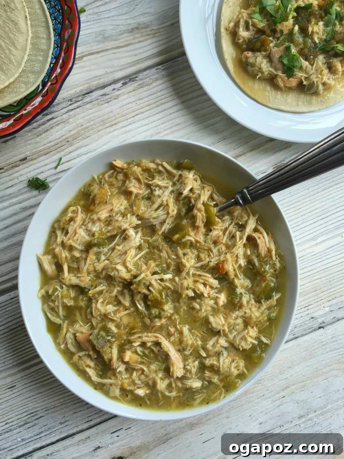 My 2015 Recipe Vault: The 15 Most Delicious Dishes 14 Delicious Slow Cooker Salsa Verde Chicken Tacos, featuring shredded chicken, fresh cilantro, and lime wedges, ready to be assembled into flavorful tacos