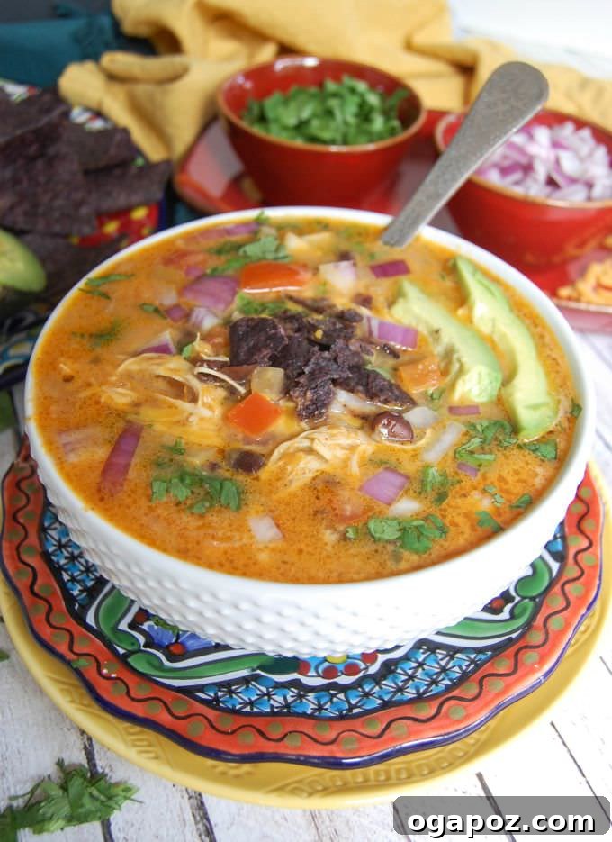 My 2015 Recipe Vault: The 15 Most Delicious Dishes 17 A rich and creamy Slow Cooker Mexican Cheesy Chicken Soup, generously topped with fresh avocado, red onions, and tomatoes