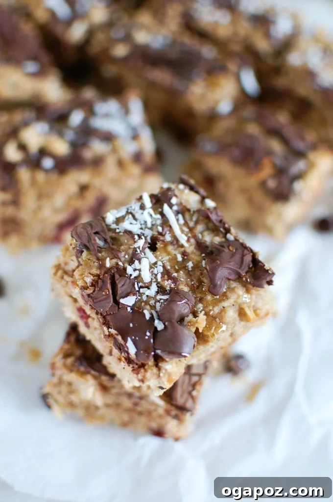 My 2015 Recipe Vault: The 15 Most Delicious Dishes 5 Chewy Cranberry Coconut Oatmeal Cookie Bars, rich with chocolate chips and dried cranberries, baked to golden perfection