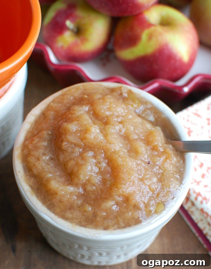 Homemade Slow Cooker Applesauce 2 A close-up shot of freshly made Crockpot Applesauce in a rustic bowl, garnished with a cinnamon stick.