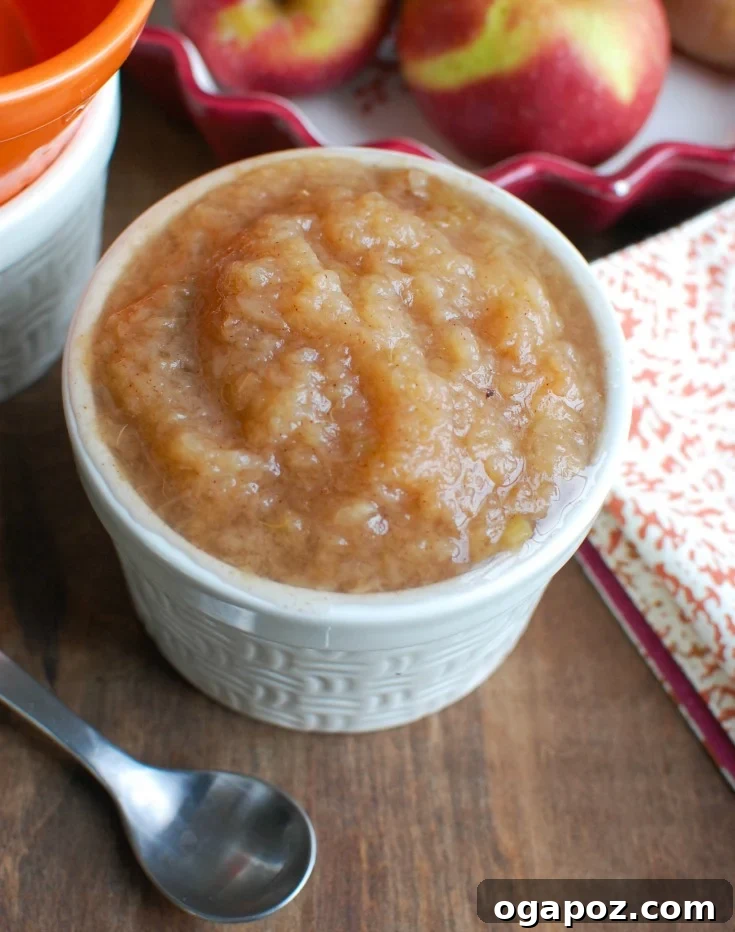 Homemade Slow Cooker Applesauce 3 A bowl of Crockpot Applesauce with a wooden spoon, showcasing its rich texture.