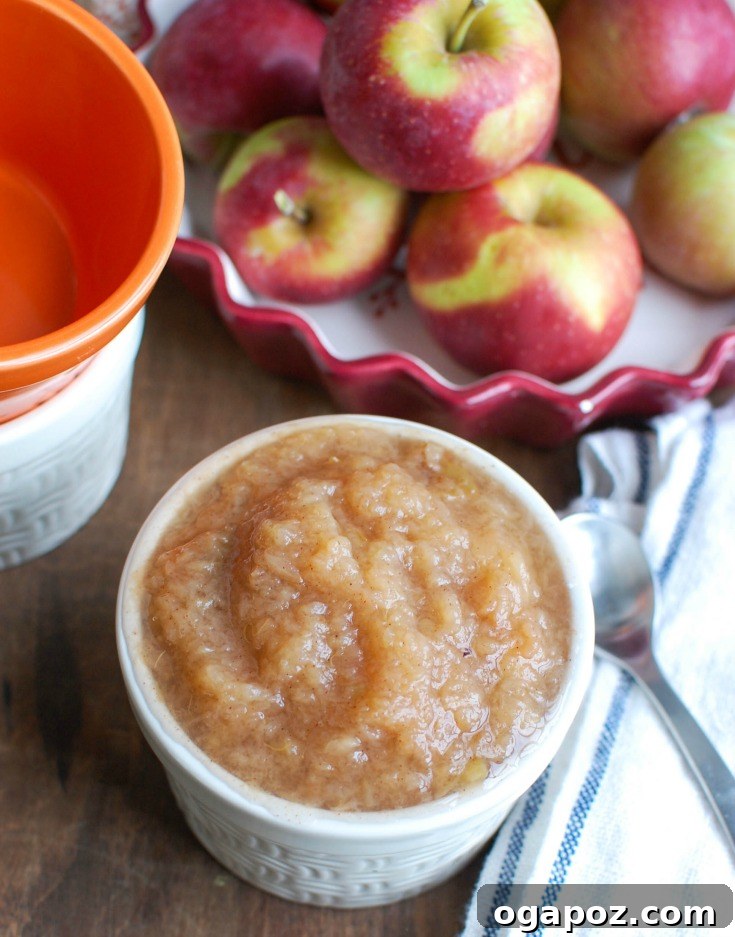 Homemade Slow Cooker Applesauce 4 A bowl of Crockpot Applesauce with a wooden spoon, ready to be served.