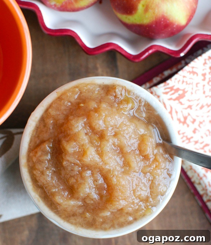 Homemade Slow Cooker Applesauce 5 A close-up of delicious Crockpot Applesauce in a bowl with a spoon.