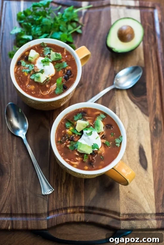 Dinner in 30: 24 Quick and Easy Meals 17 Hearty and comforting Chicken Tortilla Soup, garnished with fresh toppings