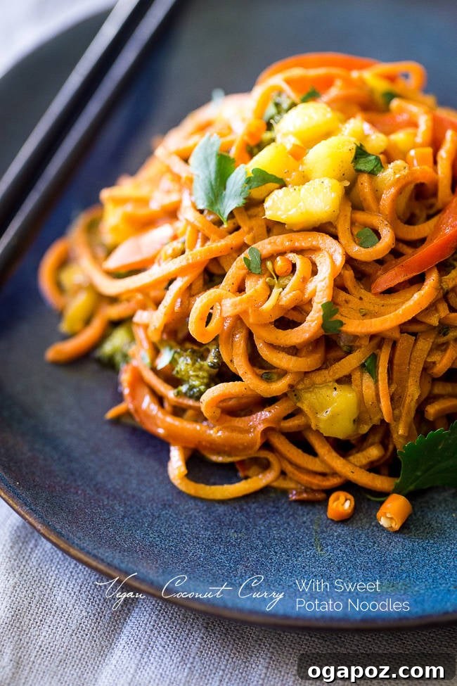 Dinner in 30: 24 Quick and Easy Meals 21 Flavorful Vegan Coconut Curry with Sweet Potato Noodles