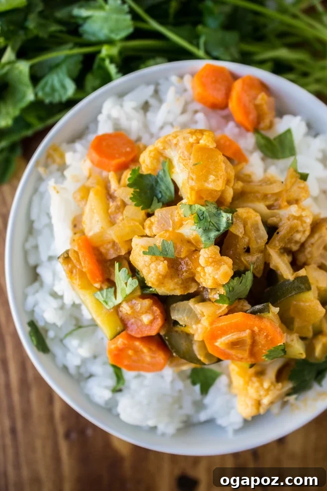 Dinner in 30: 24 Quick and Easy Meals 9 A simple yet satisfying 6 Ingredient One Pot Vegetable Curry