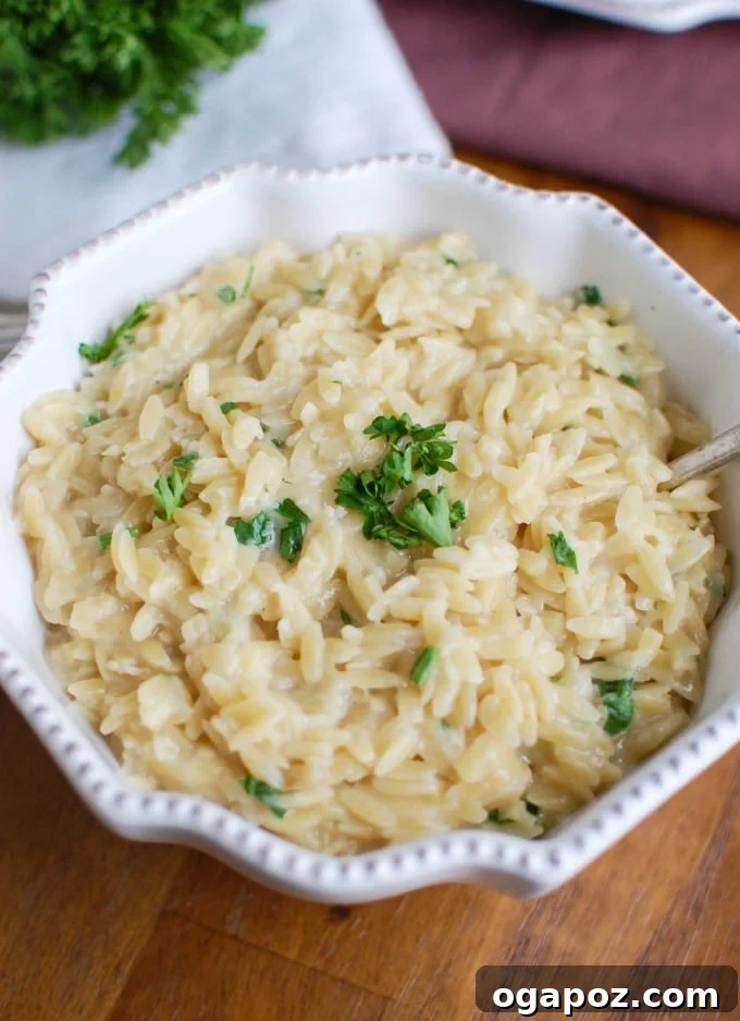 Effortless Cheesy Orzo Perfection 3 Close-up of the simple 4 ingredients for cheesy orzo: orzo pasta, broth, freshly grated Parmesan cheese, and fresh parsley, arranged on a wooden board