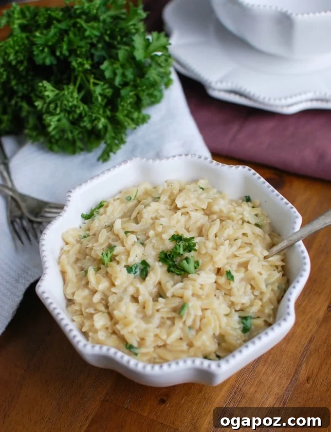 Effortless Cheesy Orzo Perfection 4 A spoonful of 4-Ingredient Cheesy Orzo, showing its creamy texture and bits of fresh parsley